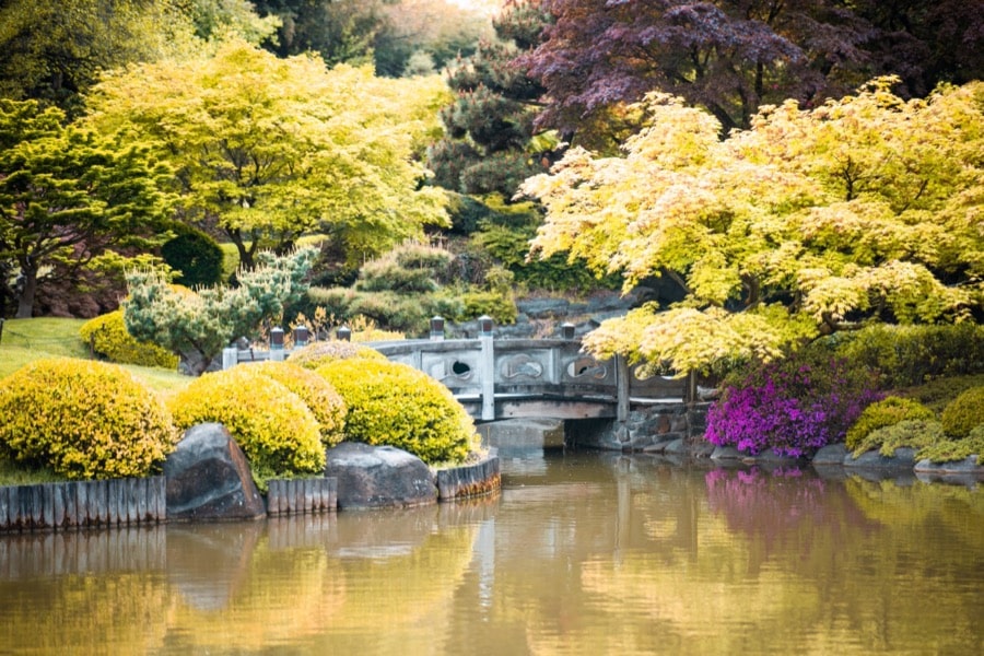 El Jardín Japonés en el Jardín Botánico de Brooklyn