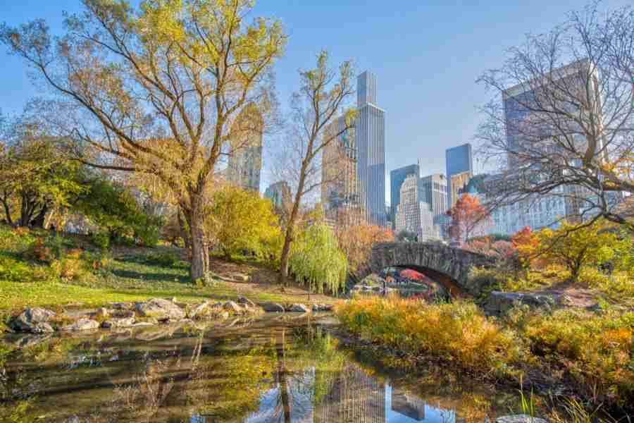La tarde del Domingo de Resurrección podrás dar un paseo por Central Park