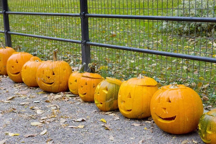 Halloween también se celebra en Central Park