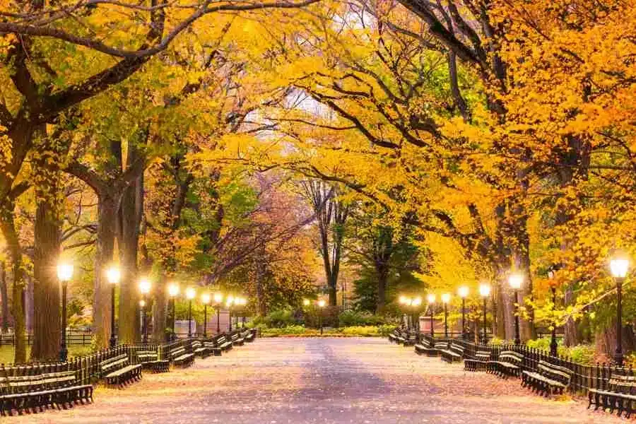 El hermoso paseo por The Mall en Central Park