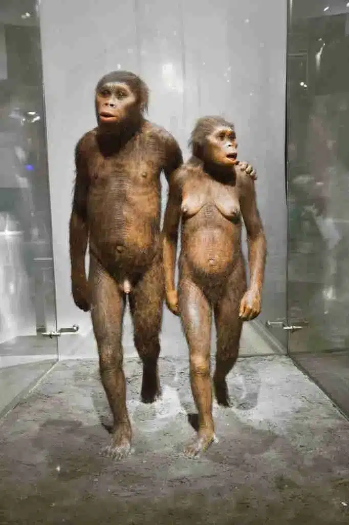 Una sección dedicada a los hombres prehistóricos en el Museo Americano de Historia Natural de Nueva York