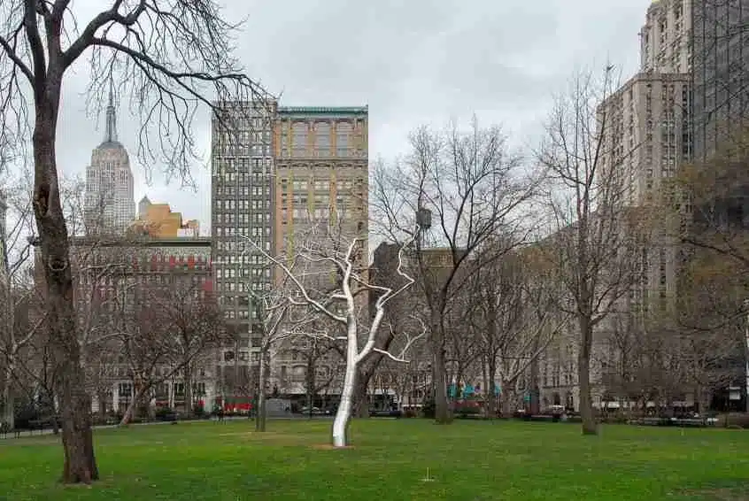 Un árbol de acero instalado en Madison Square Park