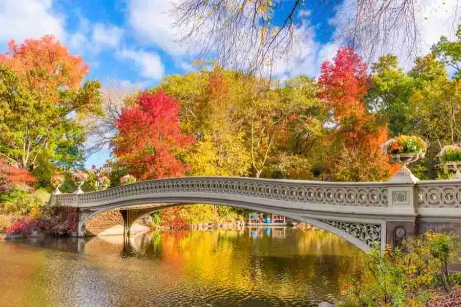 El Bow Bridge es el puente más hermoso de Central Park, aquí en colores otoñales.