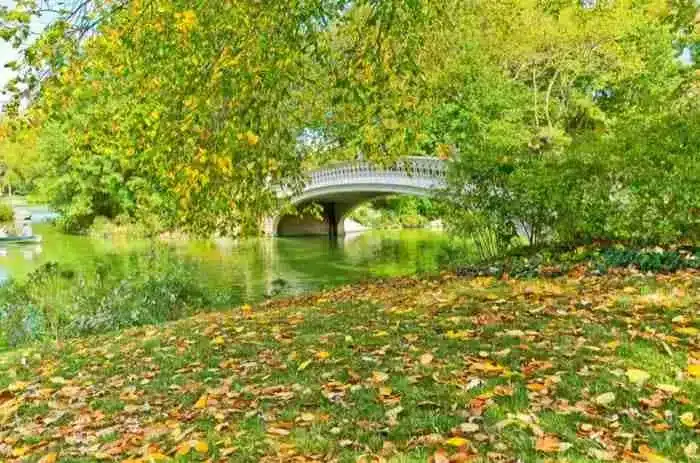 Bow Bridge, una de las zonas más románticas del parque