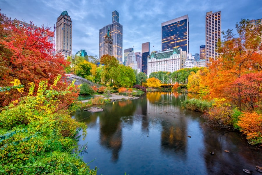 Central Park: 10 cosas que ver absolutamente en Nueva York