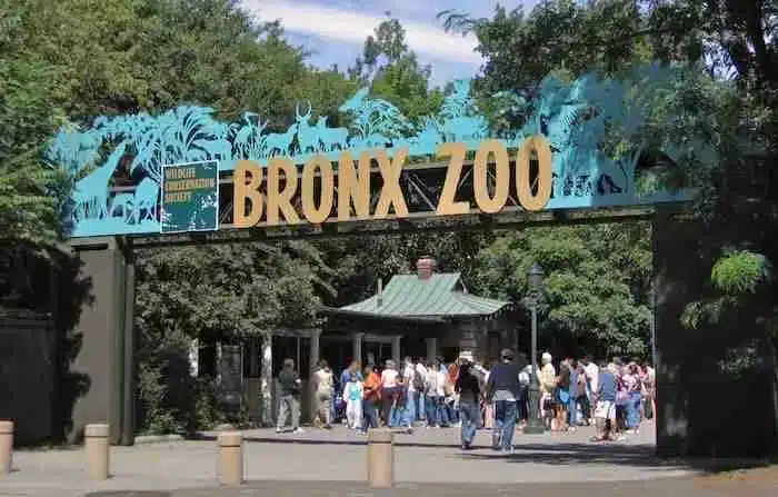 Zoológico del Bronx: cómo llegar, boletos para ingresar
