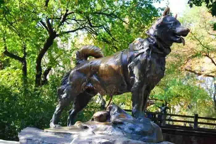 La estatua de Balto en Central Park