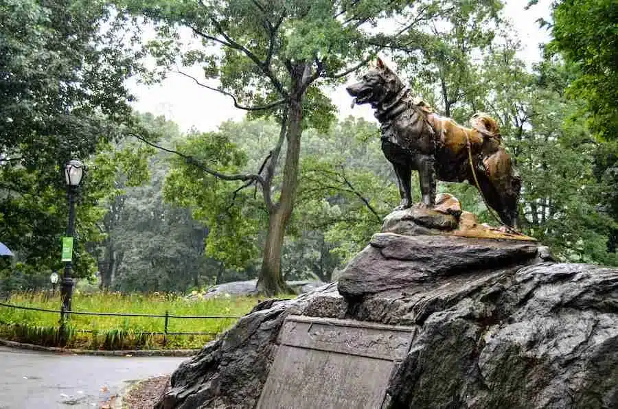 Una de las cosas que ver en Central Park es la Estatua de Balto