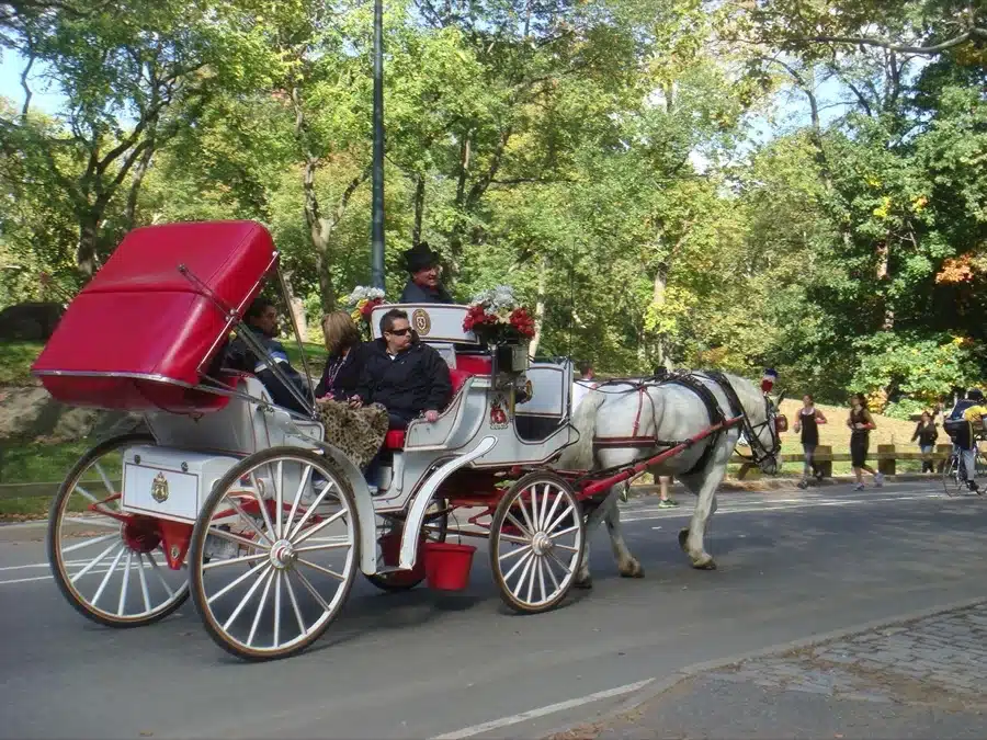 Dar un paseo en carruaje por Central Park es otra actividad romántica para hacer en Nueva York