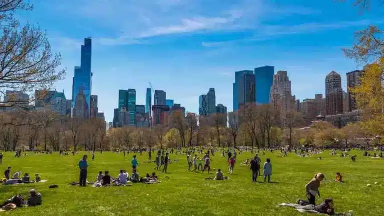 Picnic en Central Park: dónde hacerlo y dónde comprar lo necesario