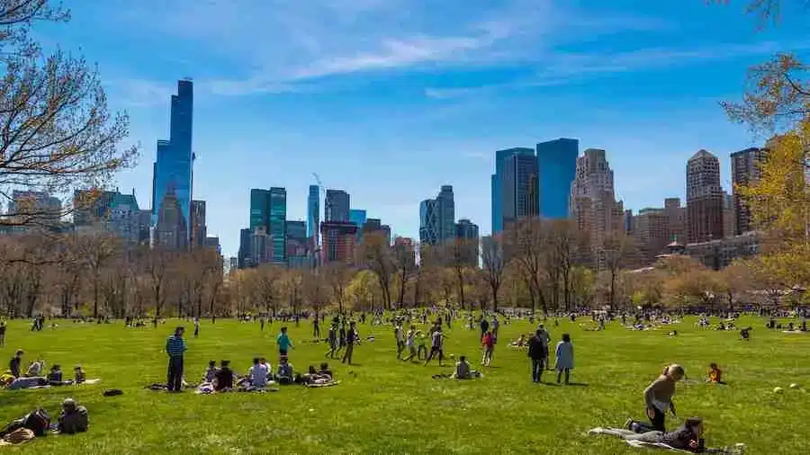 Hacer un picnic en Central Park, Nueva York