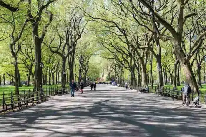 Un paseo por Central Park es una de las cosas que hacer en Uptown Manhattan