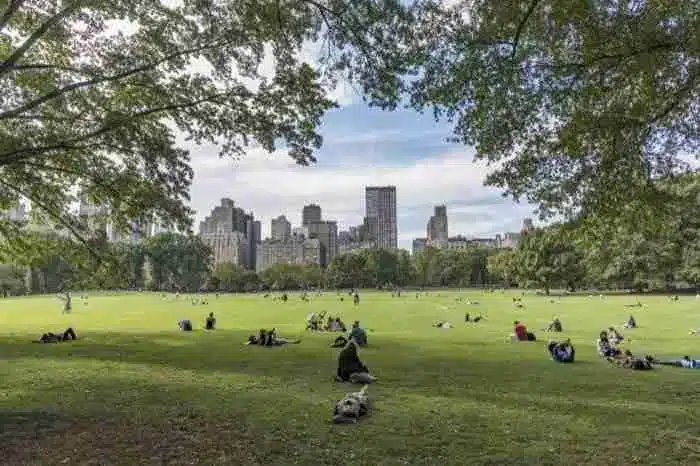 Sheep Meadow, Central Park
