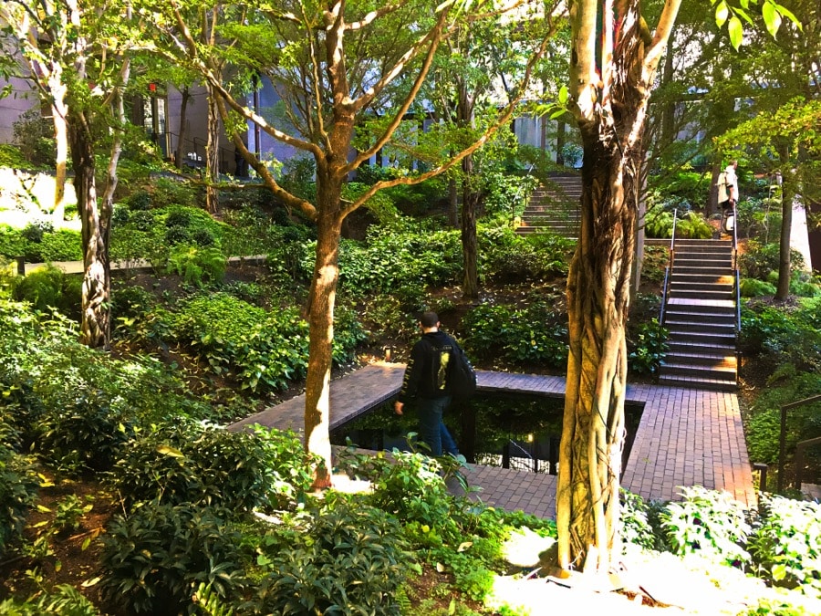 Ford Foundation Atrium, Nueva York