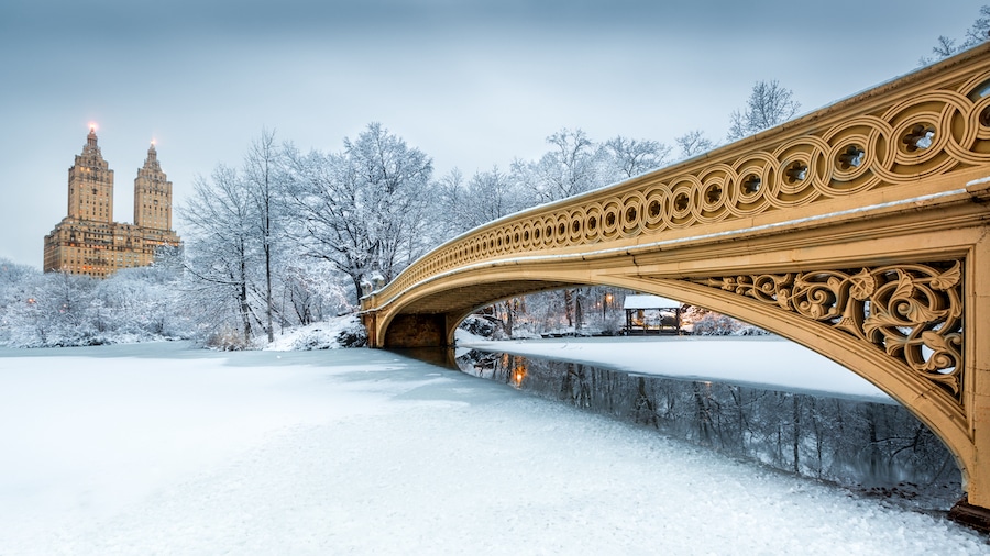 Central Park en invierno